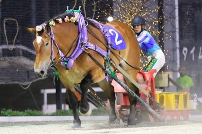 スーパードリーム号 スーパードリーム号