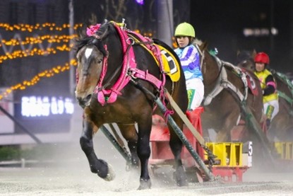 ホクセイサクラコ号 ホクセイサクラコ号