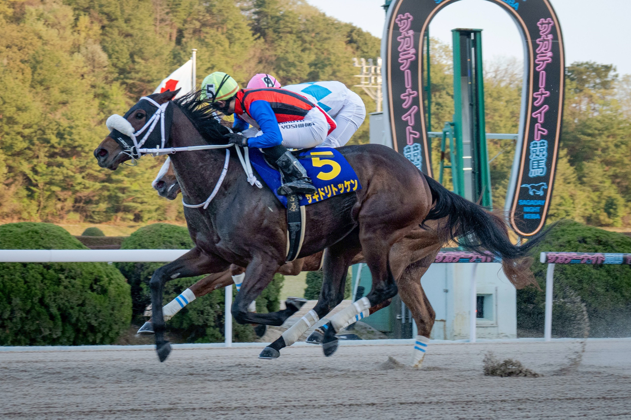 第25回 ル・プランタン賞優勝馬:サキドリトッケン号
