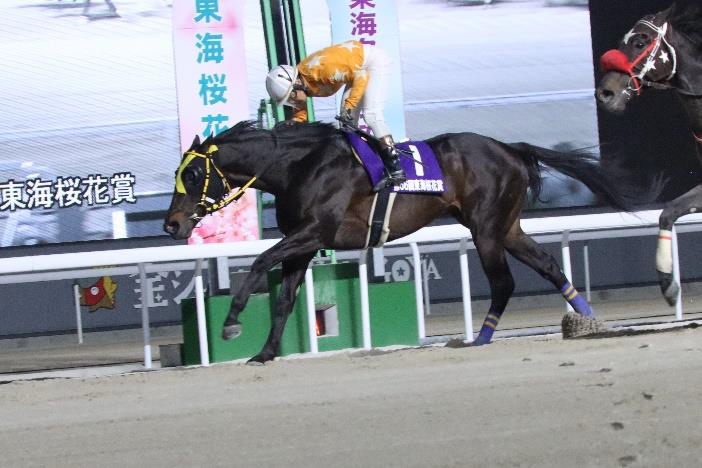 第66回東海桜花賞優勝馬：メイショウタイセツ号