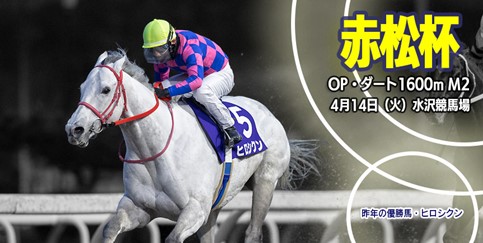 岩手】重賞 第51回赤松杯 見どころ:お知らせ&ニュース:楽天競馬