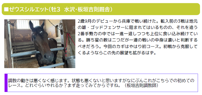 ダイヤモンドカップ ダイヤモンドカップ