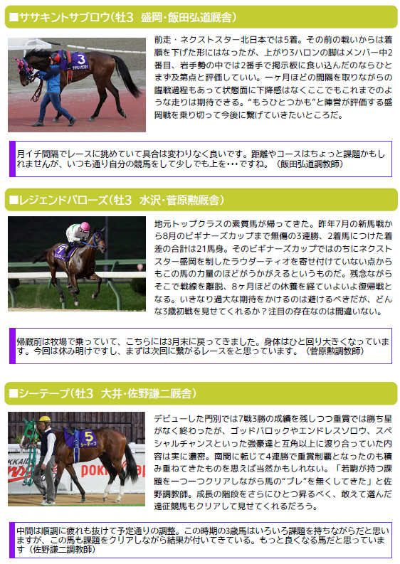 ダイヤモンドカップ ダイヤモンドカップ