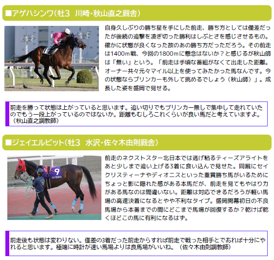ダイヤモンドカップ ダイヤモンドカップ