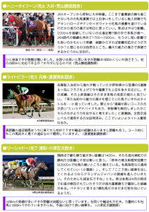 ビューチフルドリーマーカップ ビューチフルドリーマーカップ