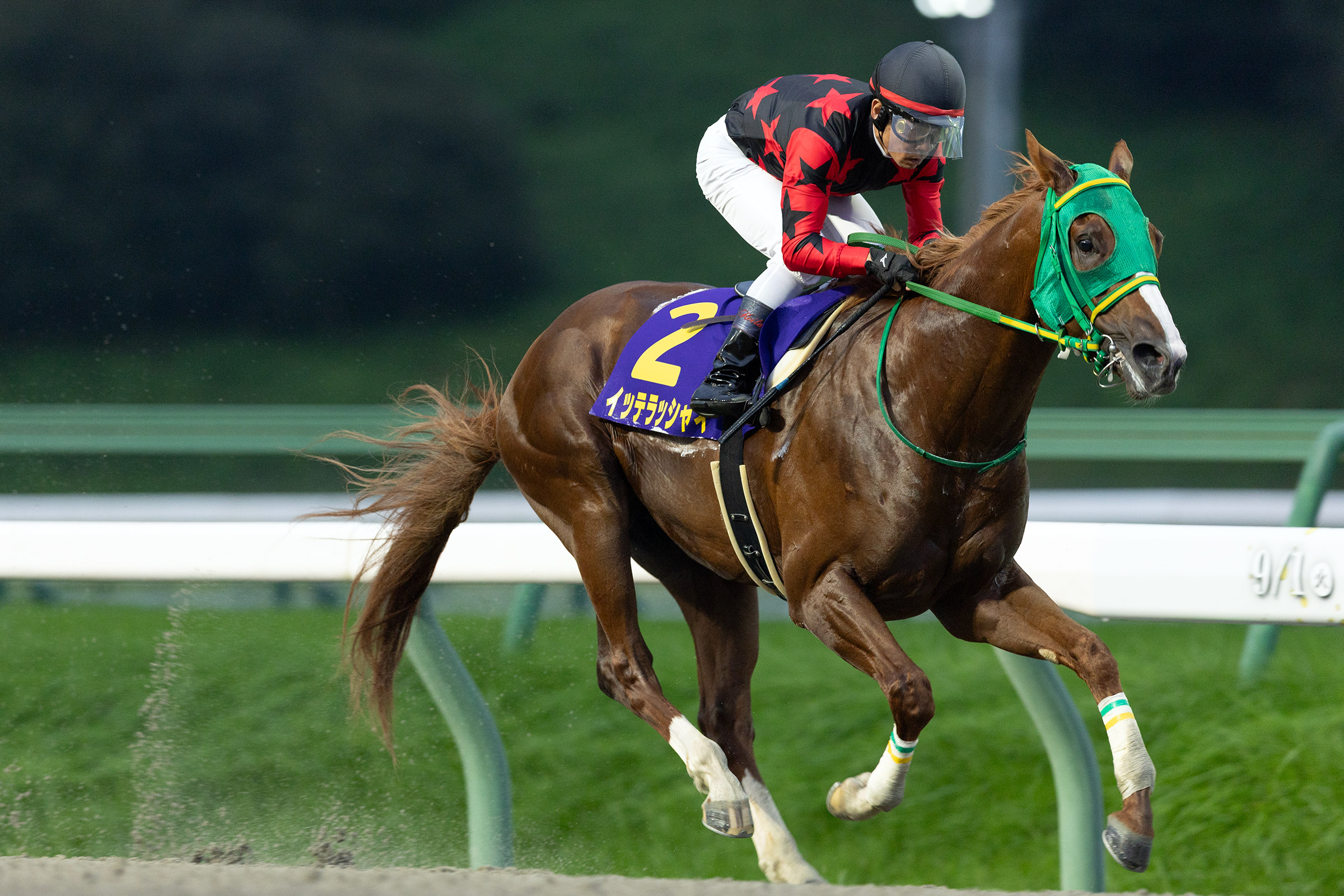 岩手 競馬 結果