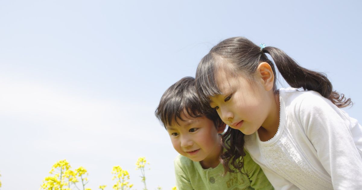 観察する子供