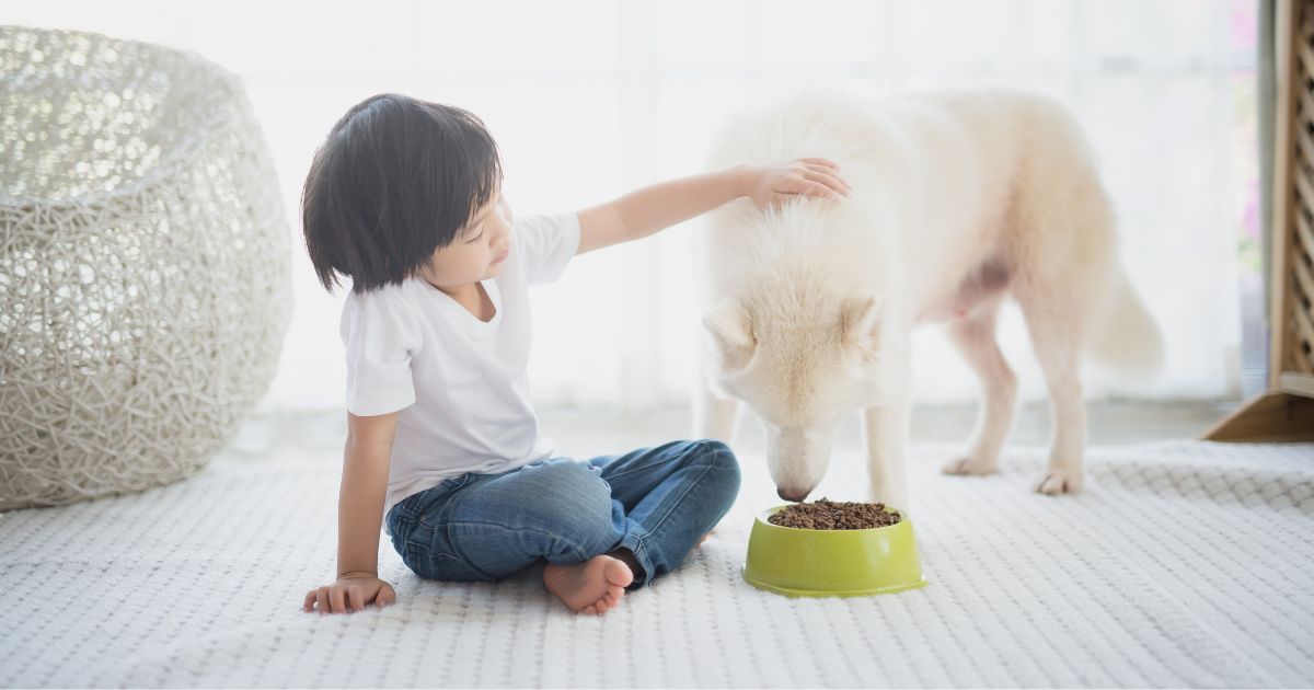 犬を撫でる子供