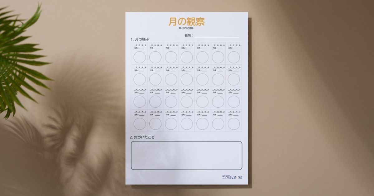 PDFダウンロード
