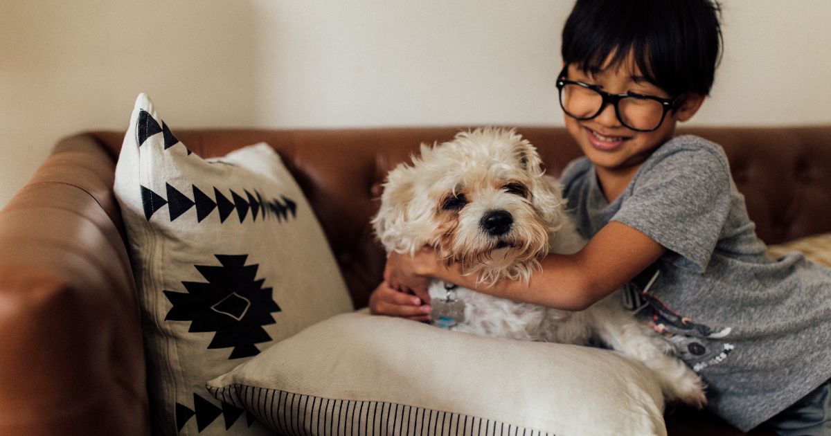 男の子と犬