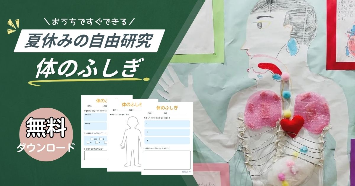 夏休みの自由研究シリーズ！①「体の不思議」探究型プロジェクト【ワークシート無料ダウンロード】