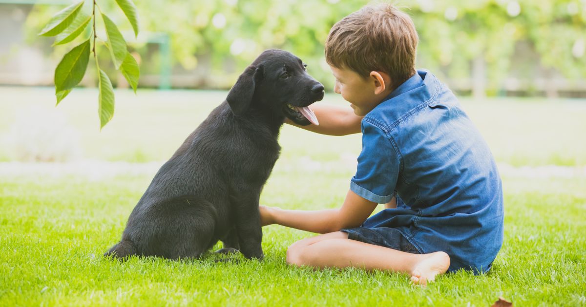 男の子と犬