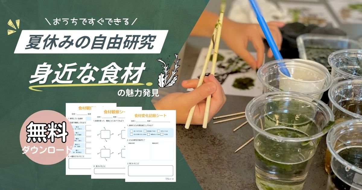 夏休みの自由研究シリーズ②！　毎日の食卓にある「食材」を研究テーマに—— 海苔プロジェクト【ワークシート無料ダウンロード】