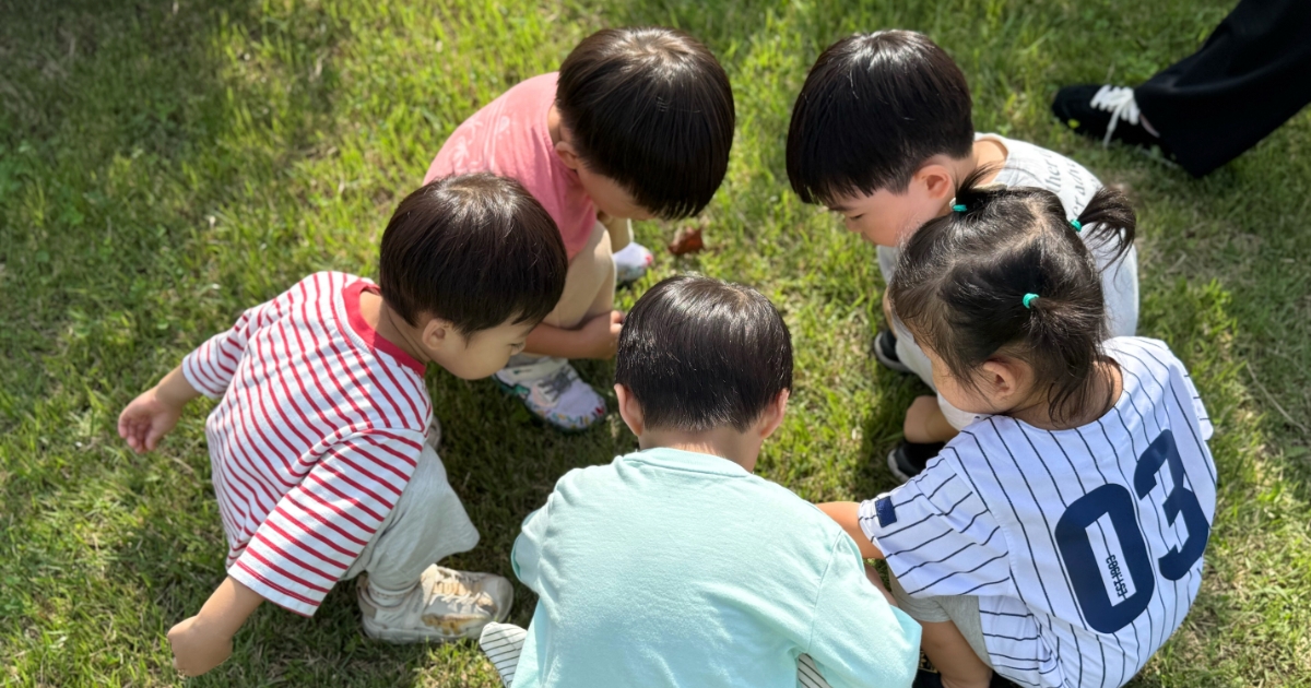 芝生の上で5人の子どもが輪になってしゃがみこみ、地面の小さなものをのぞき込んでいる様子
