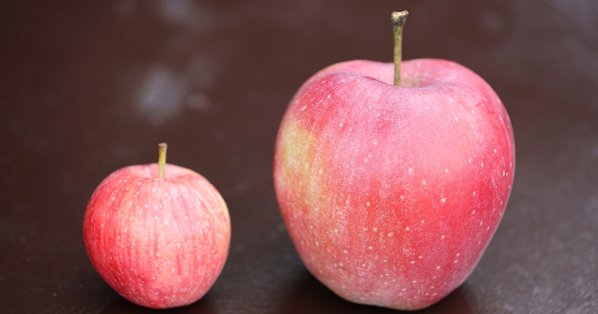 大小2つの赤いりんごが、黒い背景の上に並べて置かれている写真