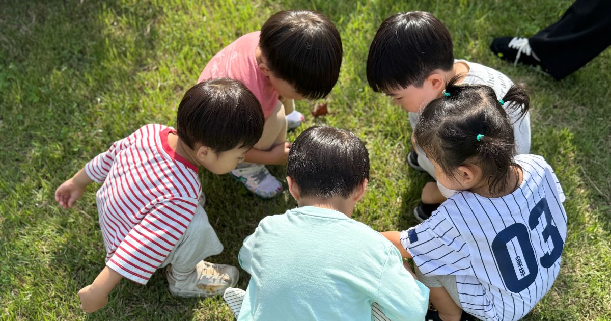 芝生の上で子どもたち5人が輪になってしゃがみ込み、地面をのぞき込みながら一緒に遊んでいる様子