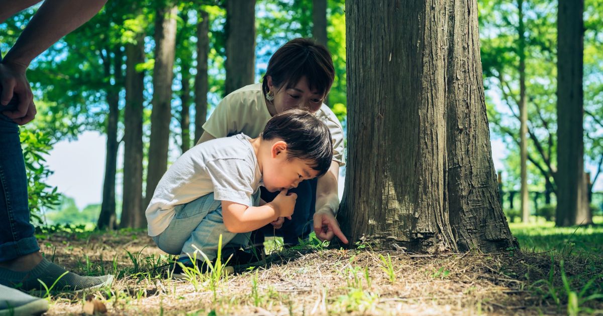 「自然体験させなきゃ」の焦り、手放していい。レイチェル・カーソンが遺したシンプルな答え