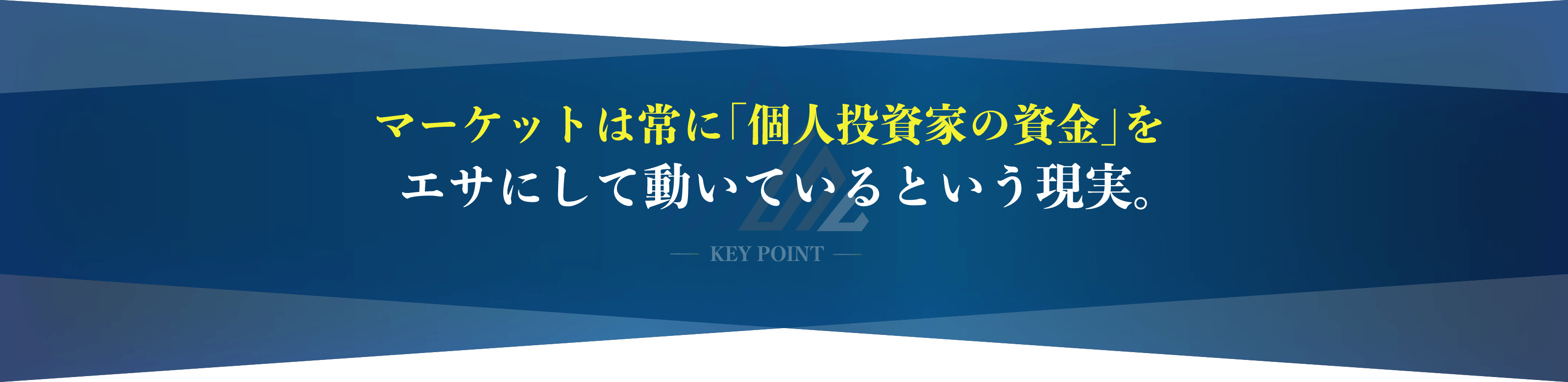 「個人投資家の資金」をエサにして動いている