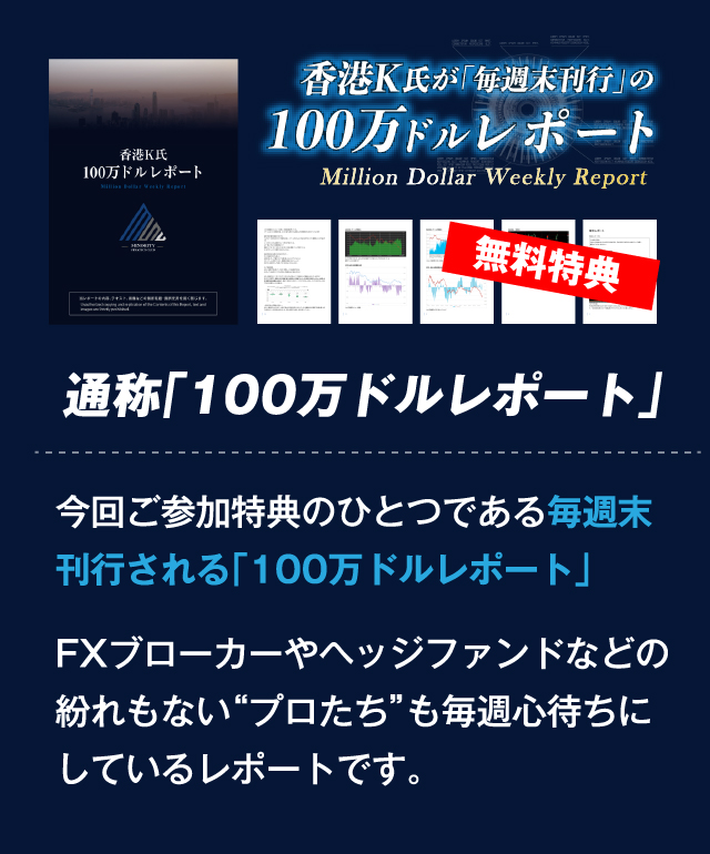 通称「100万ドルレポート」