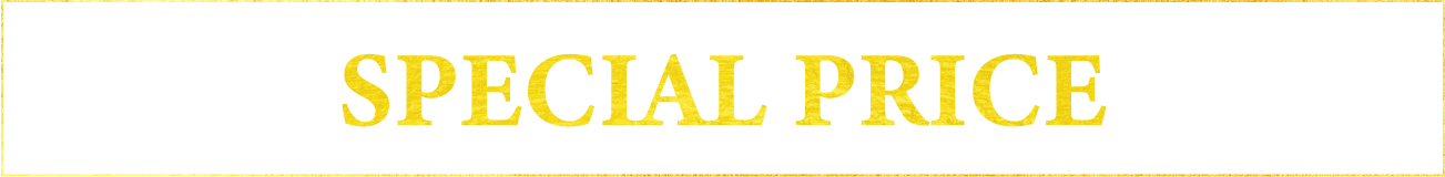 Special Price