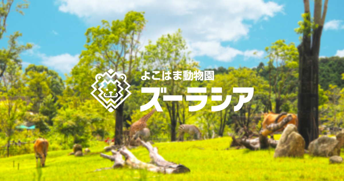ハッピーバレンタインinズーラシア
