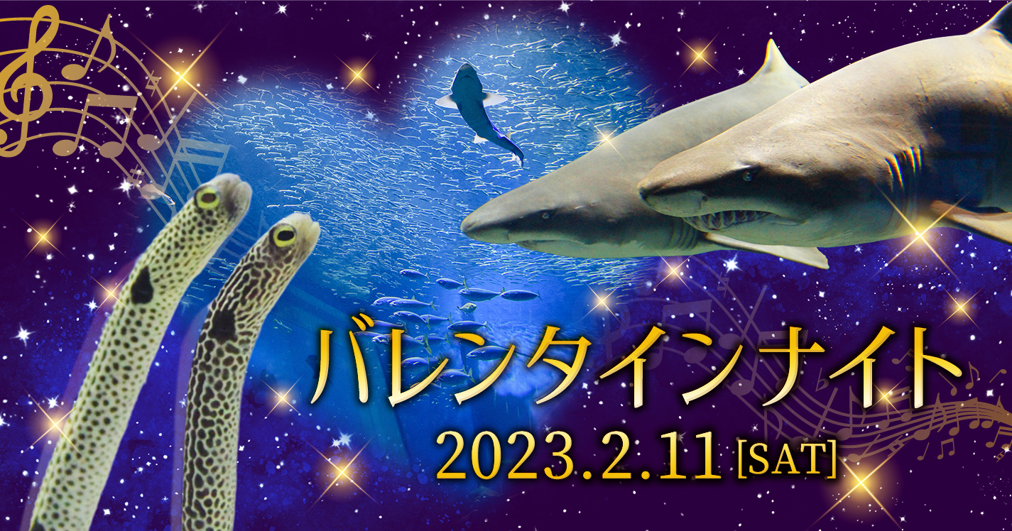 バレンタインナイト