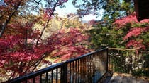 月川荘キャンプ場 写真2