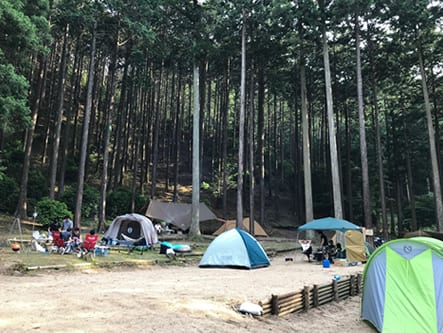 かぶとの森テラス 写真3