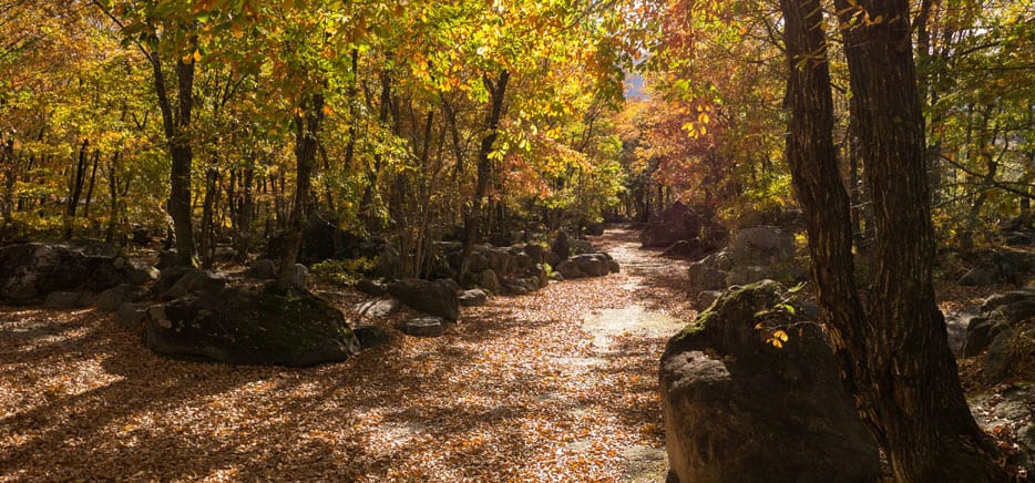 南アルプス三景園オートキャンプ場 写真5