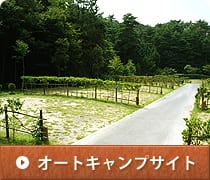 グリム冒険の森 写真2