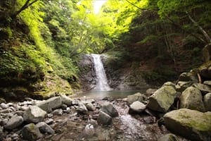 西丹沢大滝キャンプ場 写真7