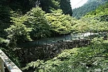 白石オートキャンプ場 写真5