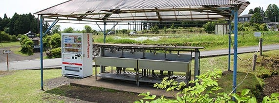 大野路ファミリーキャンプ場 写真5