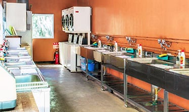 河津オートキャンプ場 写真6