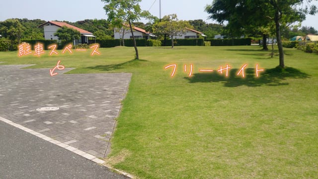 竜洋海洋公園オートキャンプ場 写真4