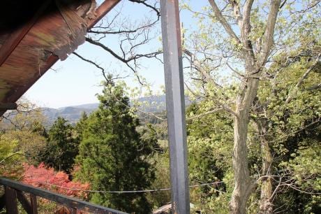 フォレストパーティ峰山 写真3
