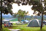九重グリーンパーク泉水キャンプ村 写真3