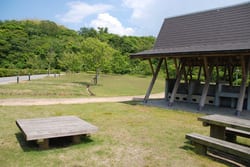 田の浦公園オートキャンプ場 写真3