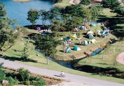 鳥野目河川公園オートキャンプ場 写真3