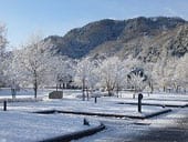 出会いの森総合公園オートキャンプ場 写真2