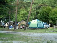 しらかば公園キャンプ場 写真2