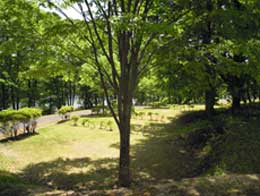 羽鳥湖畔オートキャンプ場 写真2