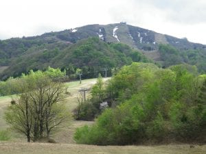 グリーンパークハチ北キャンプ場 写真4