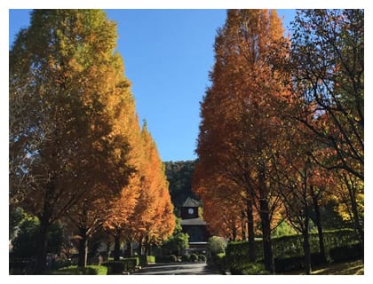 西脇市日本のへそ日時計の丘公園オートキャンプ場 写真3