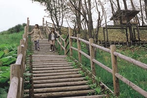 うらほろ森林公園 写真4