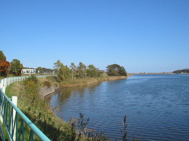 東藻琴芝桜公園キャンプ場 写真2