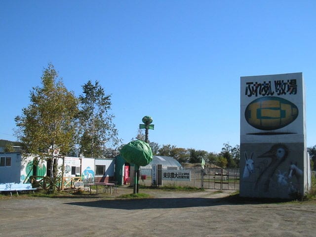 東藻琴芝桜公園キャンプ場 写真4