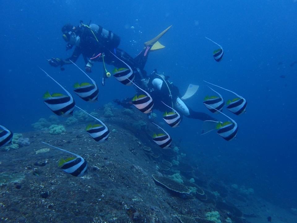 ACNリゾート大島 写真4