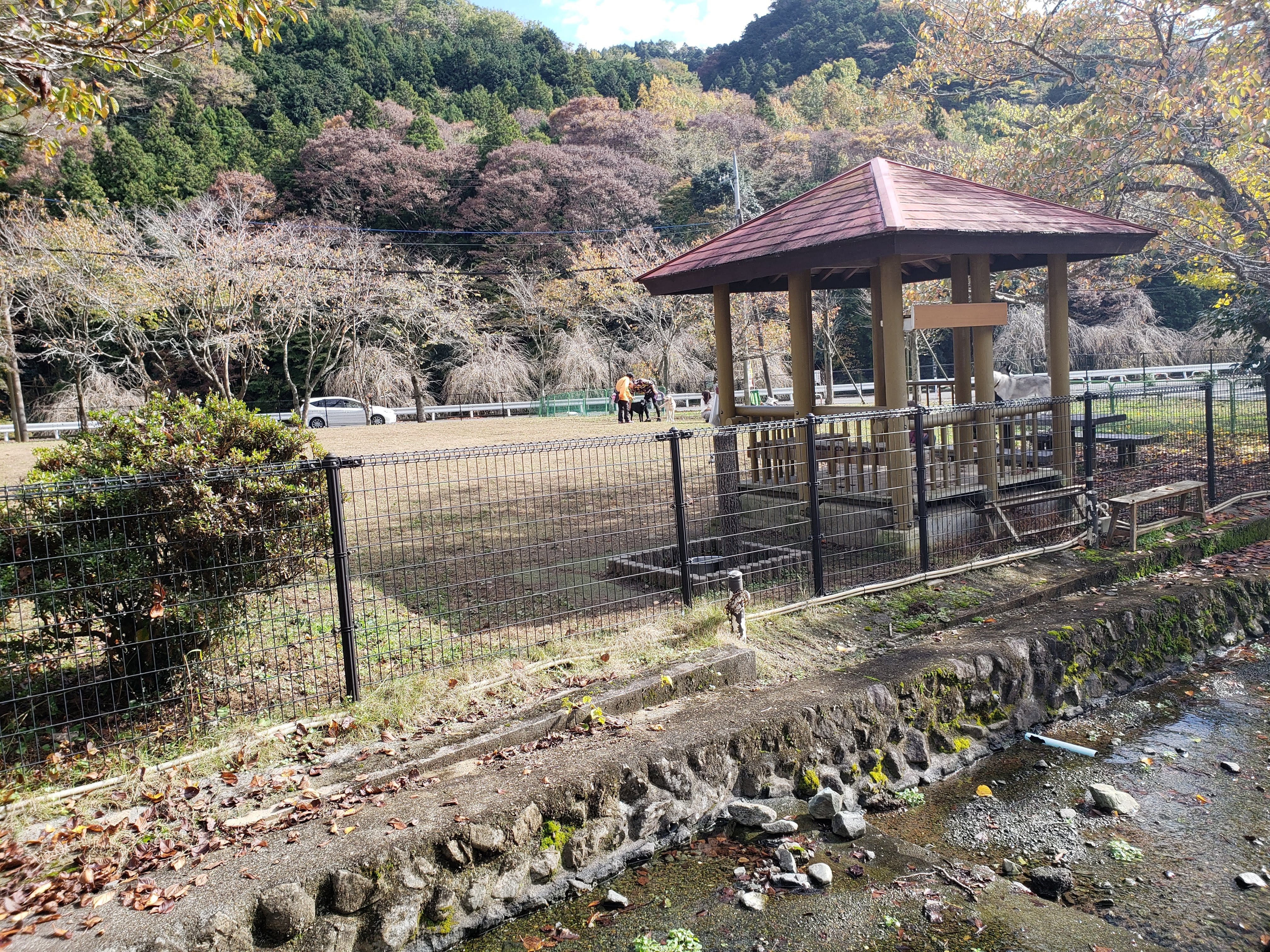 みんトクバナー