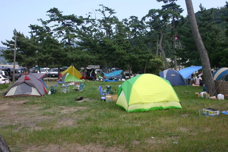 仁崎キャンプ場 写真3
